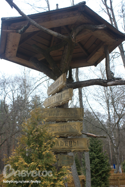 Беловежская пуща+ резиденция Деда Мороза(Беларусь на границе Польши)