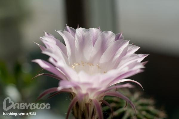 6d31d1264ed2f6ea011d56ea47b9a764.jpg