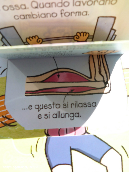 Наука для самых маленьких