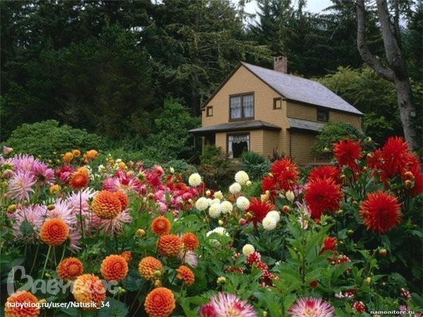 Контрольное задание № 6. Три способа цветокоррекций фотографий