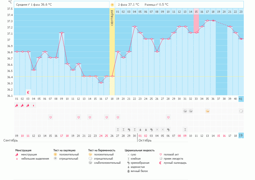 Стадия g0. Низкая вторая фаза. Низкая вторая фаза. Низкая вторая фаза. Медленная реполяризация фаза плато.