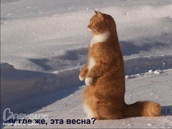 7a05f77f4ba8b2dcfb1eeb01bc0a45ad.jpg