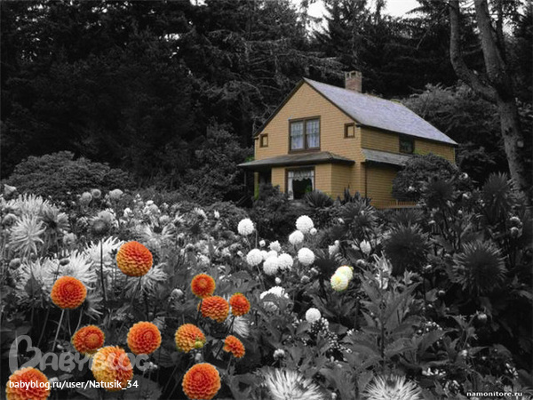 Контрольное задание № 6. Три способа цветокоррекций фотографий