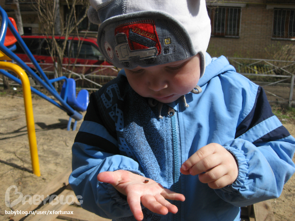 Весенние денёчки.