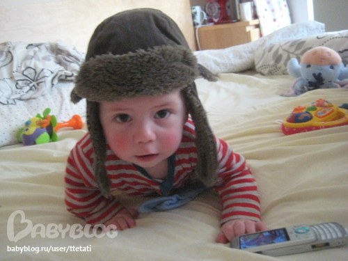 Картинка