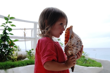 91b943ae1e2bbac524c71427b7e4ae81.jpg?450