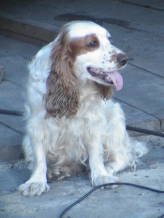 93c154b69446428277c3b5ef8abb5bc6_39420.j