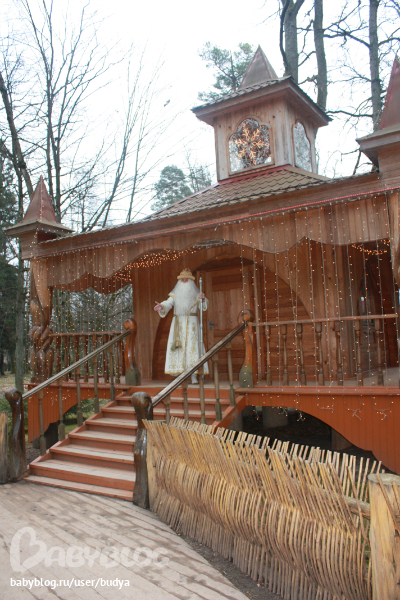 Беловежская пуща+ резиденция Деда Мороза(Беларусь на границе Польши)