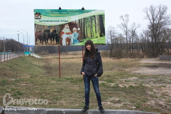 Беловежская пуща+ резиденция Деда Мороза(Беларусь на границе Польши)