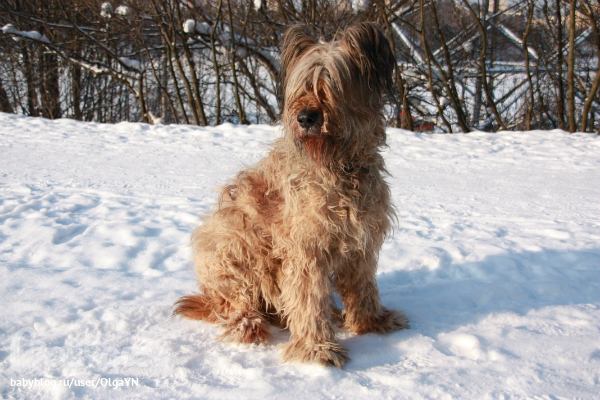 987f8c22615178c6dc8ca1532d030194.jpg