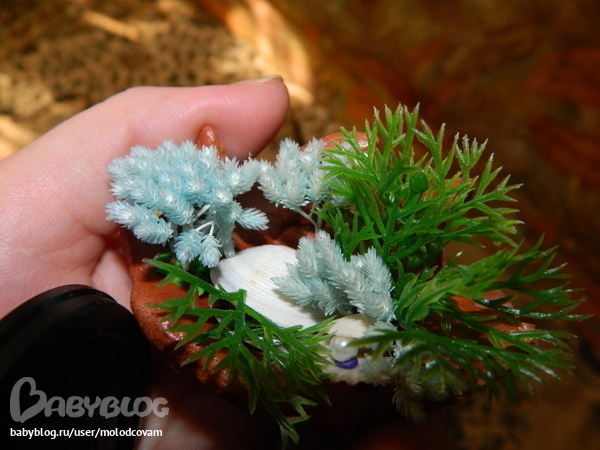 подарки от дочки