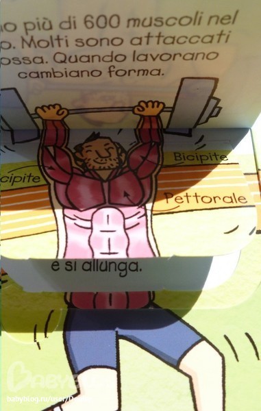 Наука для самых маленьких