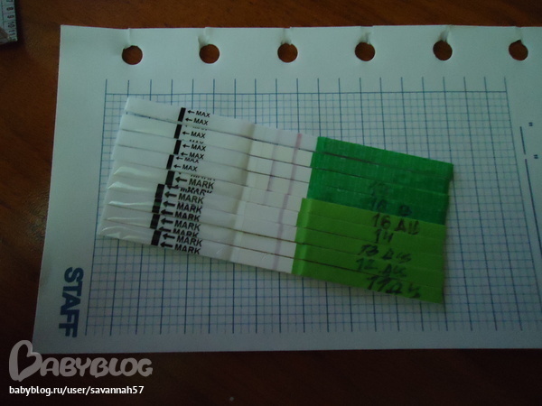 9d7a5f298fec2a70e8933886fde3b12b.jpg