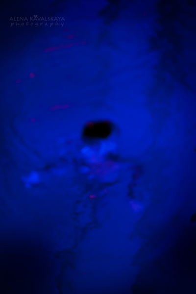 a4740aff887dc63afbb1719d00460f22.jpg