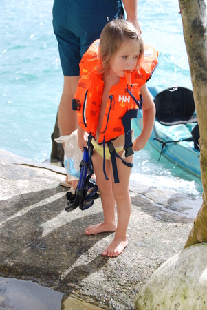 a9f2a2580f53e81ec04ff80437208529.jpg?301