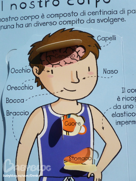 Наука для самых маленьких