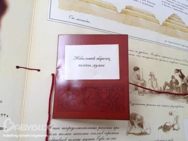 Египтология