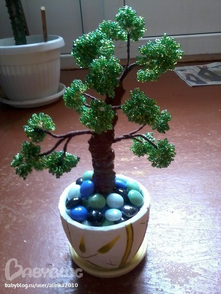 Мое первое деревце)