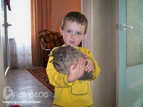 Картинка