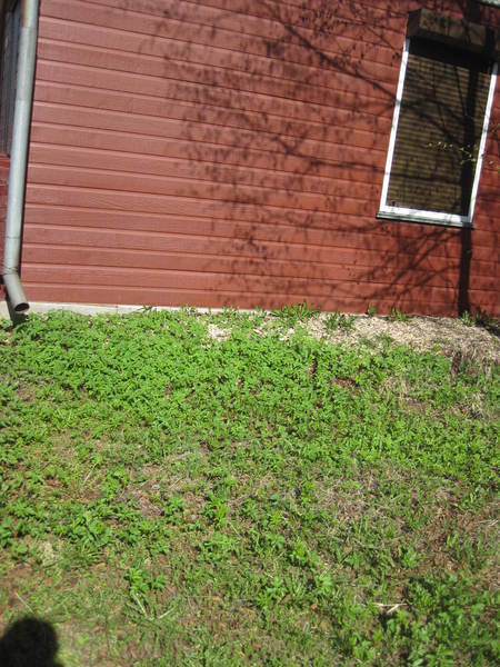 ba028dc78184eace15e3a4f623d24582.jpg