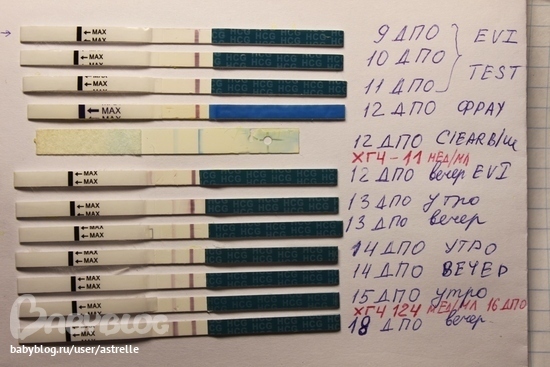 Рождение современного теста на беременность — Блог Клініка репродуктивної медицини Reprolife