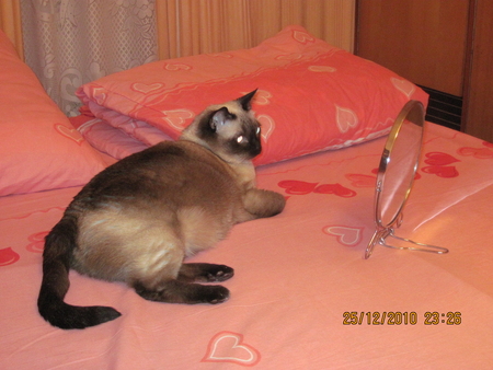 undefined