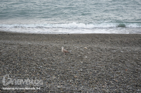 Урок № 5. Корректируем тона при помощи уровней