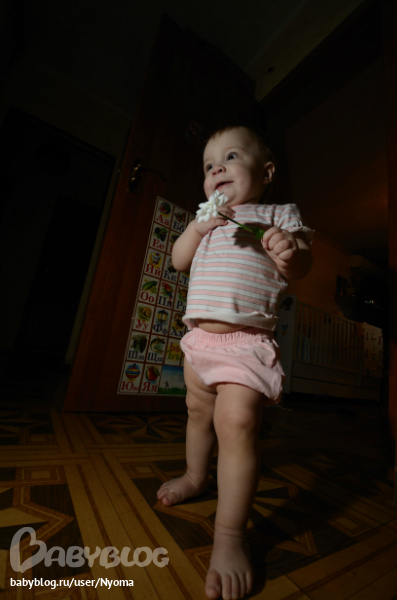 cfcead5d3ec26c31e6426a2828a03d65.jpg