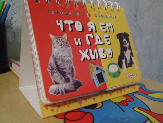 cfe2b0f23bd136b93f039a7b146b735a.jpg