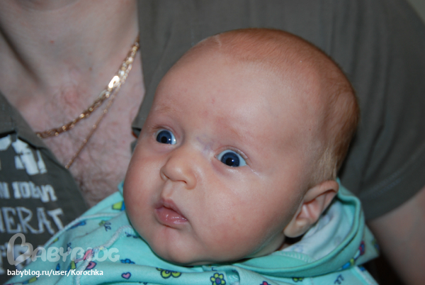 d3bce104436e08686aaebea5db3237af.jpg
