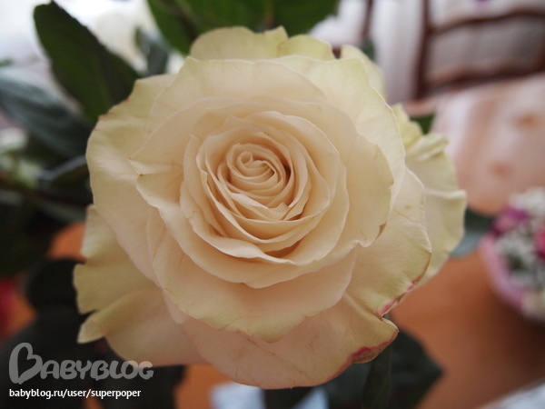 d5670a339f81f073ab7d29bbf84acf67.jpg