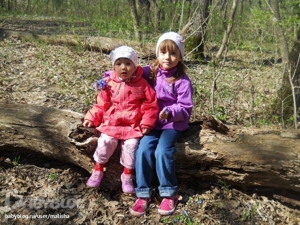 dc12829b3c4cf16d874781d50685d2e6.jpg