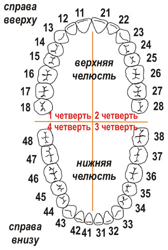 Цепочки управления и их нумерация в схеме