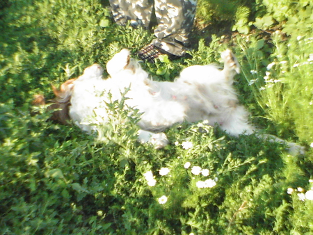 ea65c5c0c4f693df7243515801dc2675_39420.j