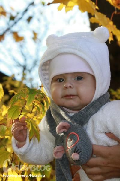 ec529b8a0ca395fbf7efb59f57b0e6ba.jpg