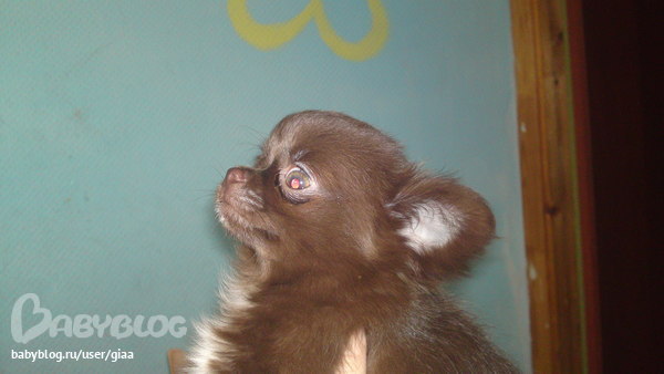 f00fb9cb1fe07973b2b230e04ecddb42.jpg