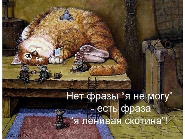 f4ec286adc96b2e1e687f265b1173da7.jpg