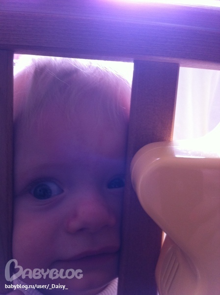 У нас лезут зубы, а мы лезем в решётку...