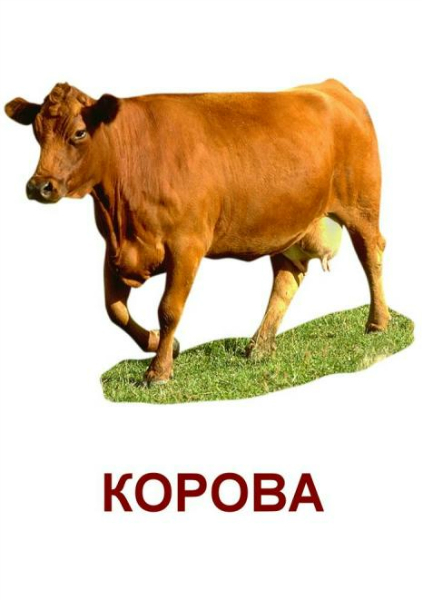 ТН "Домашние животные". Корова, коза, лошадь. — 16 ответов | форум Babyblog