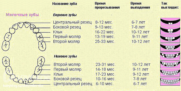 План дюймовочка 2 класс